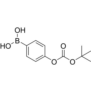 CS-0174839