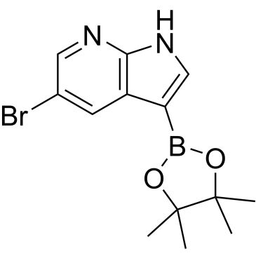 CS-0174888