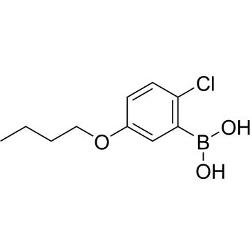 CS-0174893