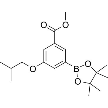 CS-0175431