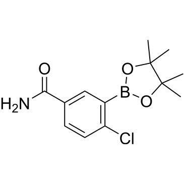 CS-0175466