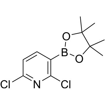 CS-0175528