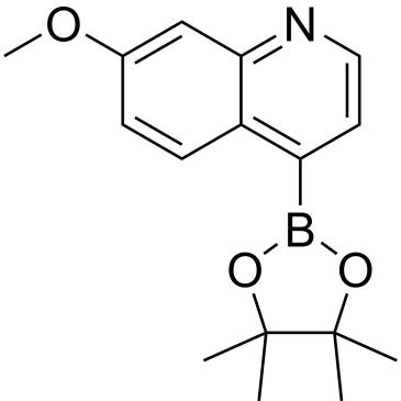 CS-0175539