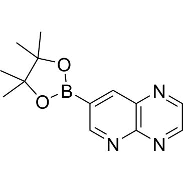 CS-0175691