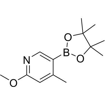 CS-0175839