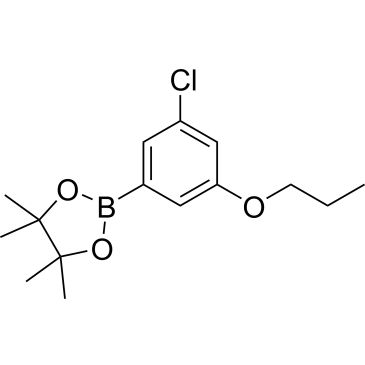 CS-0175981