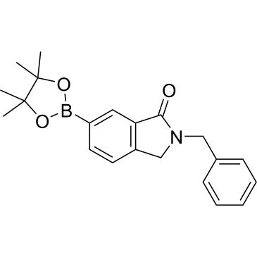 CS-0177804