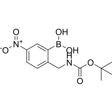 CS-0177983