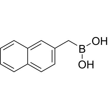 CS-0178926