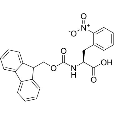 CS-0179065