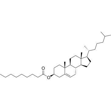 CS-0185588