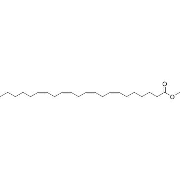 CS-0185607