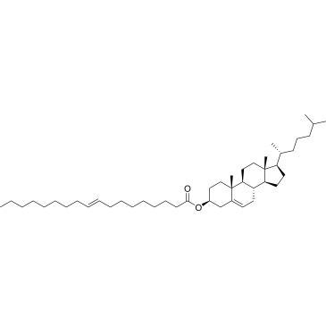CS-0185637