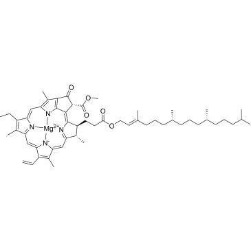 CS-0185935