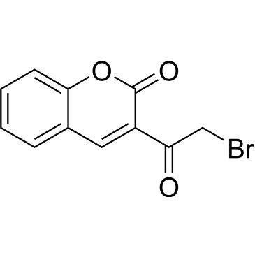 CS-0186703
