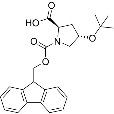 CS-0187839