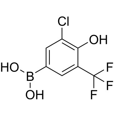 CS-0189933