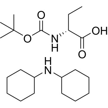 CS-0197101