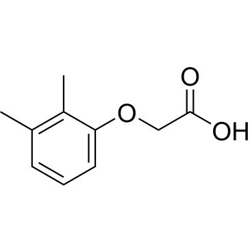 CS-0197124