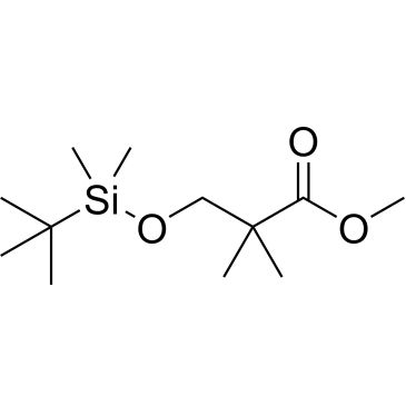 CS-0197572
