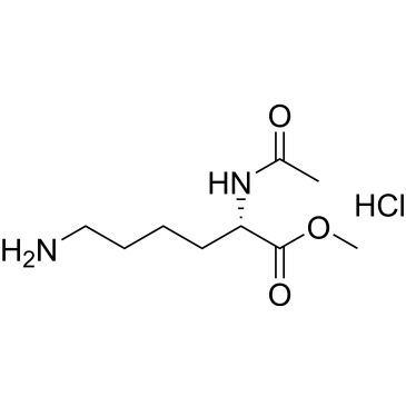 CS-0197837