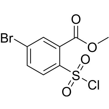 CS-0199223