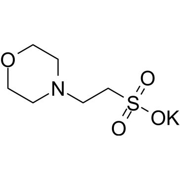 CS-0202613