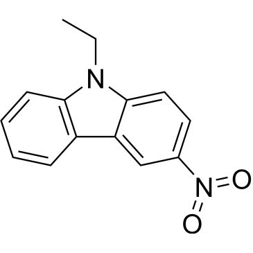 CS-0204377