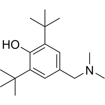 CS-0204402