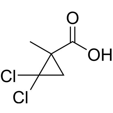 CS-0204450