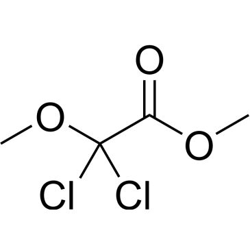 CS-0204724