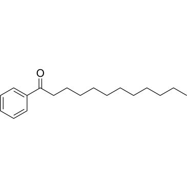 CS-0204739
