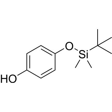 CS-0204742