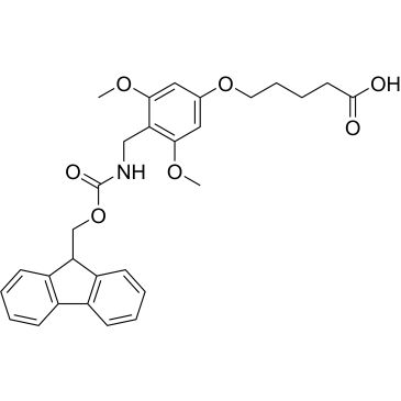 CS-0204828