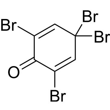 CS-0204851