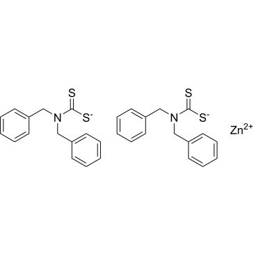 CS-0205479