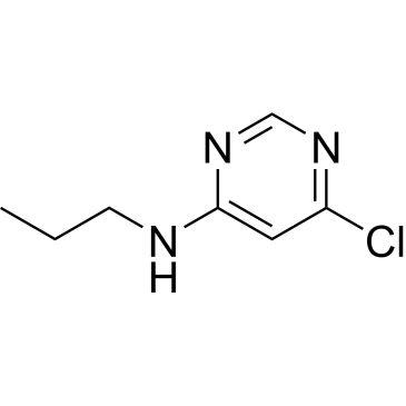 CS-0205661