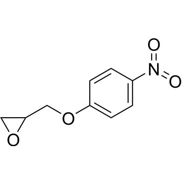 CS-0205886
