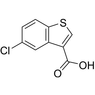 CS-0205951