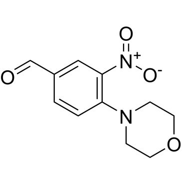 CS-0206521