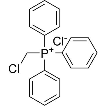 CS-0206712