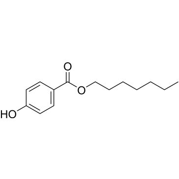 CS-0207373