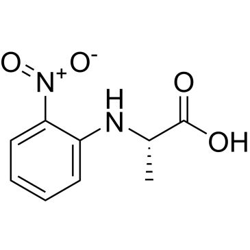 CS-0207606