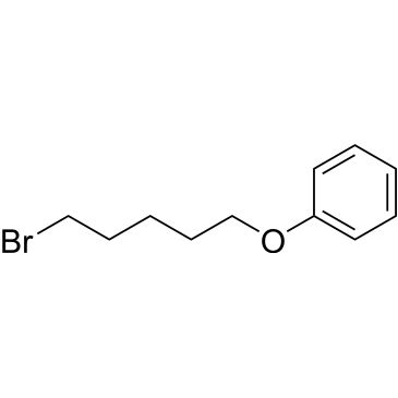 CS-0208191