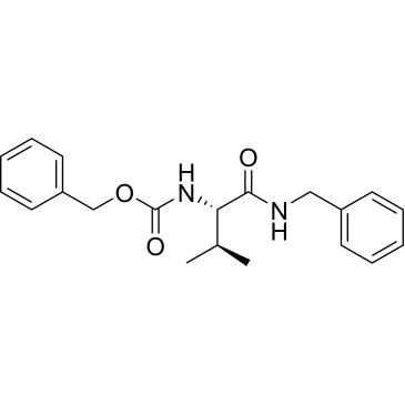 CS-0208306