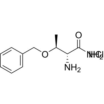 CS-0208685