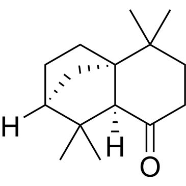 CS-0208694
