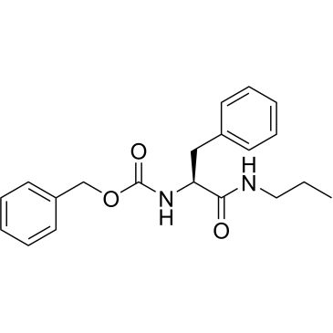 CS-0211005