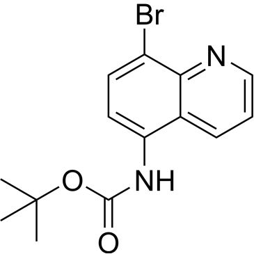 CS-0211702