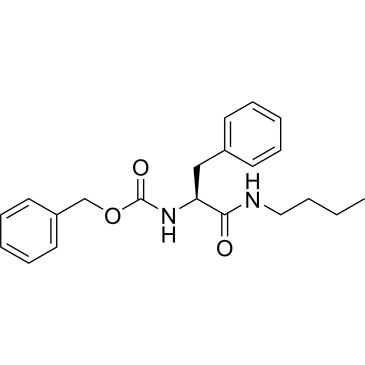 CS-0212025